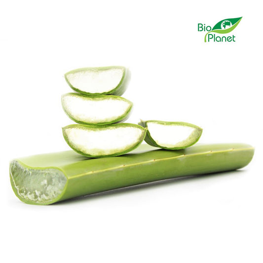 Aloes Świeży BIO (Około 4 kg) (4 szt x 1 kg)