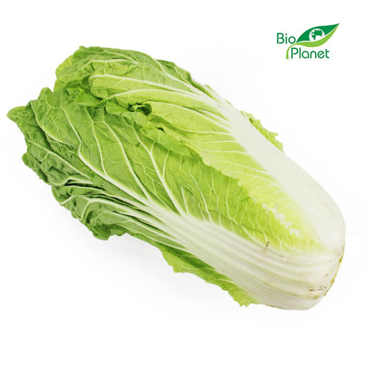 Kapusta Pekińska Świeża BIO (Polska) (Około 0,80 kg)