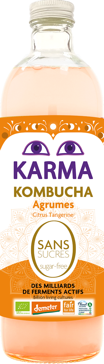 Kombucha z Cytrusami Bez Cukru Fair For Life Demeter BIO 750 ml