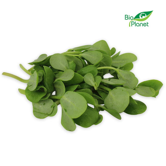 Portulaka Świeża Niemyta BIO (Polska) (Około 0,10 kg)